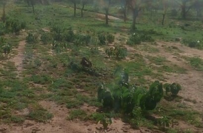 Enyorata farm 100 acres