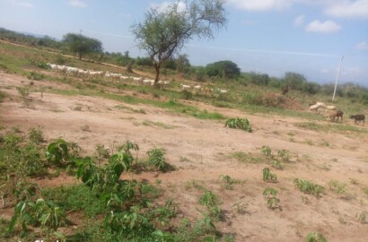 Kitengela Plots for sale