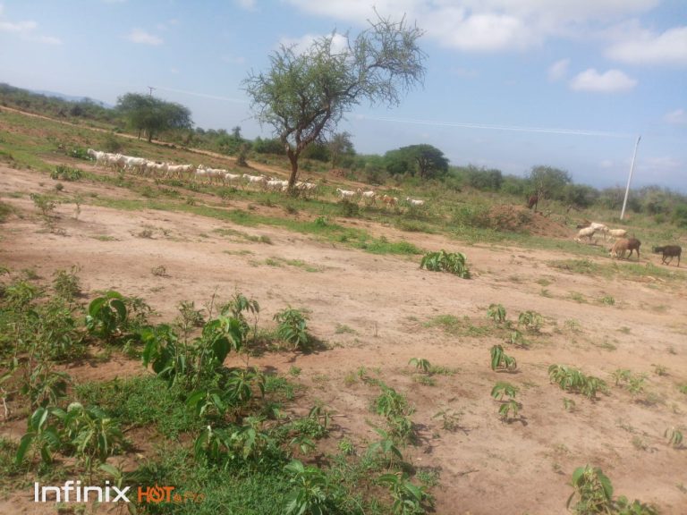 Kitengela Plots for sale
